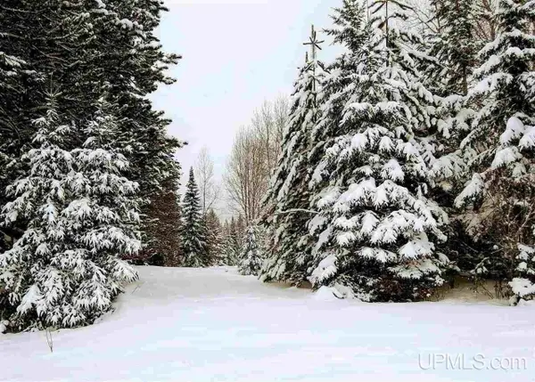 15169 Bellaire Street, Baraga, MI 49908