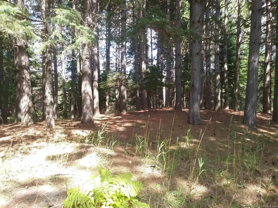 15169 Bellaire Street, Baraga, MI 49908 - #2