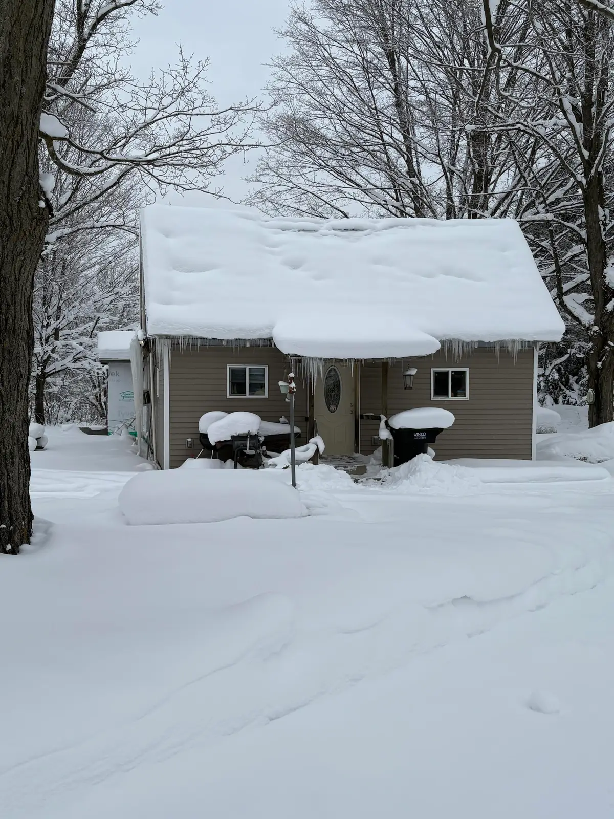 3885 E Loop Road, Hesperia, MI 49421 - Image #1