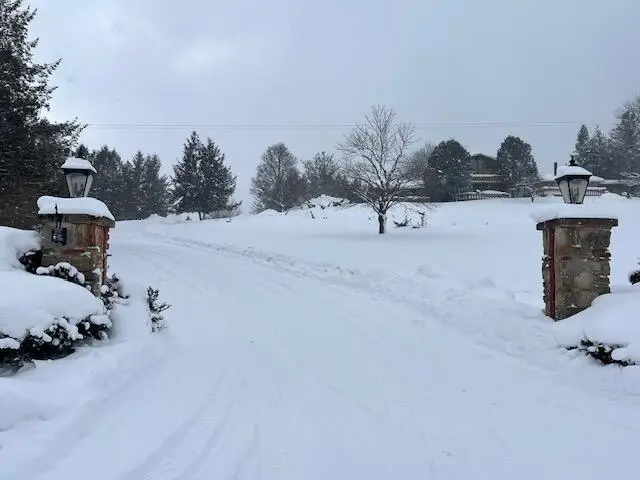 8903 Maidens Road, Bear Lake, MI 49614 - Image #2