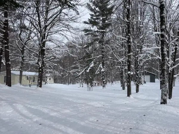 7808 E 48th Street, Chase, MI 49623