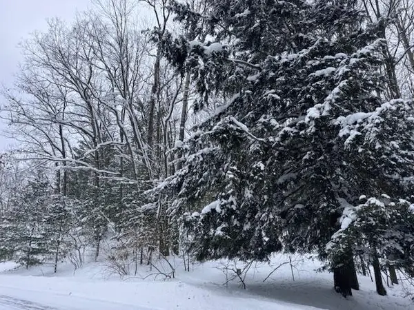 Frank Smith Rd, Chase, MI 49623