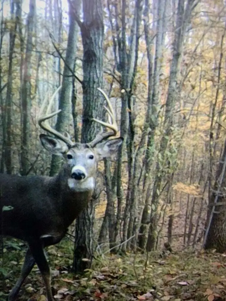 V/L 125th Avenue, Stanwood, MI 49346 - Image #1