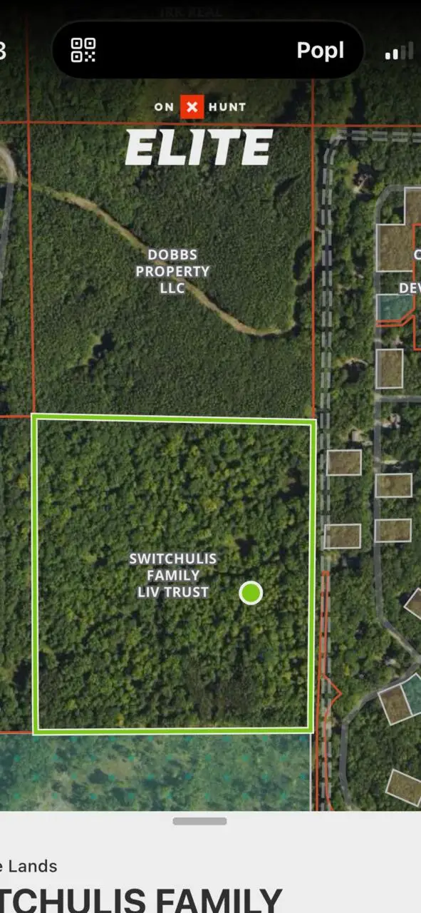V/L 125th Avenue, Stanwood, MI 49346 - Image #3