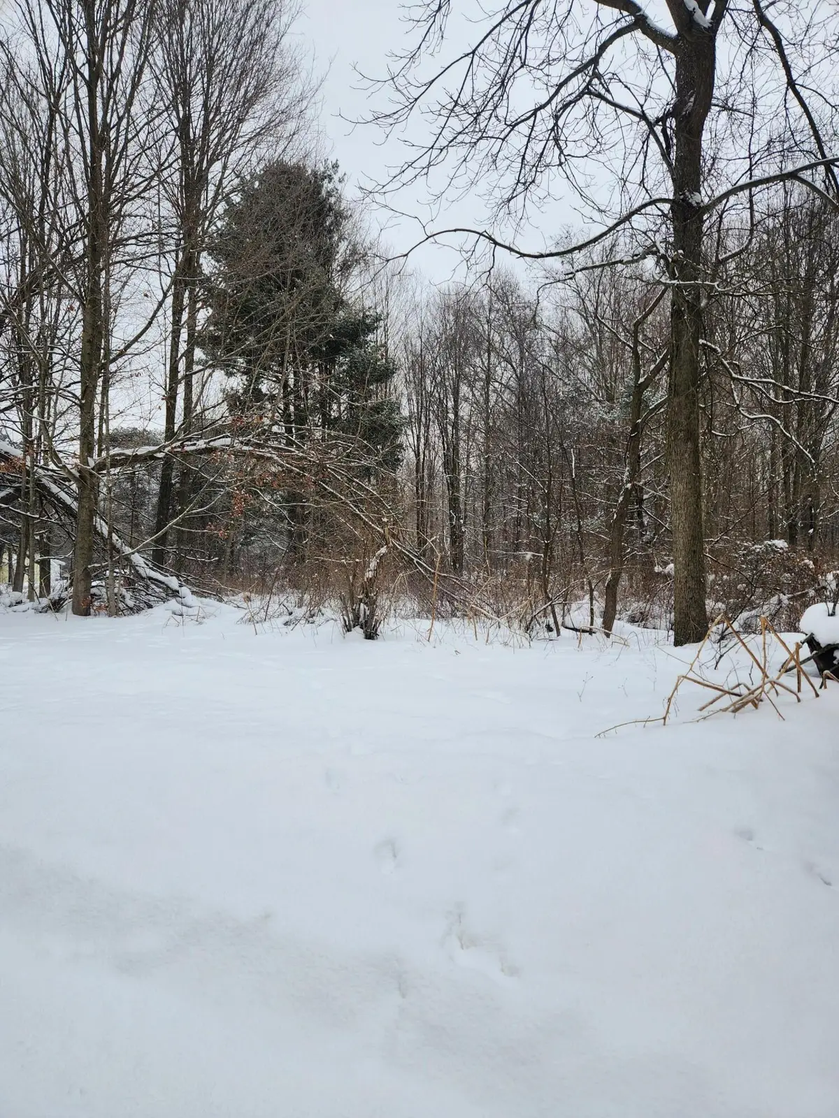 8694 W South County Line Road, Greenville, MI 48838 - Image #1