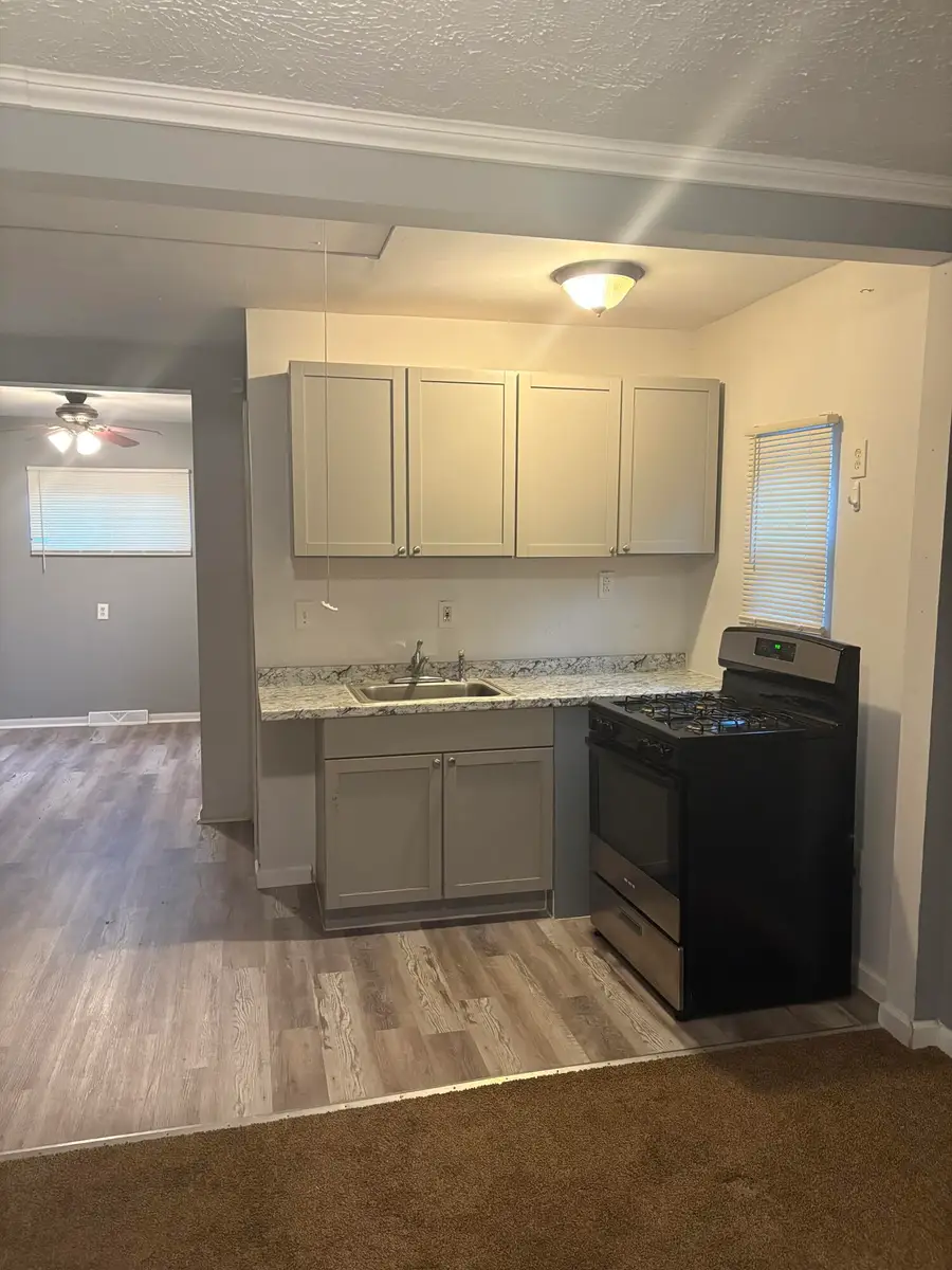 1321 Applewood Avenue, Lincoln Park, MI 48146 - #2