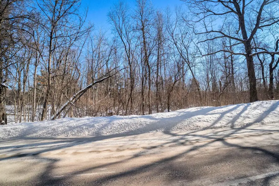 VL Lake George Road, Leonard, MI 48367 - Image #3