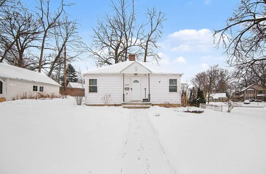 1217 Birk Avenue, Ann Arbor, MI 48103 - #3