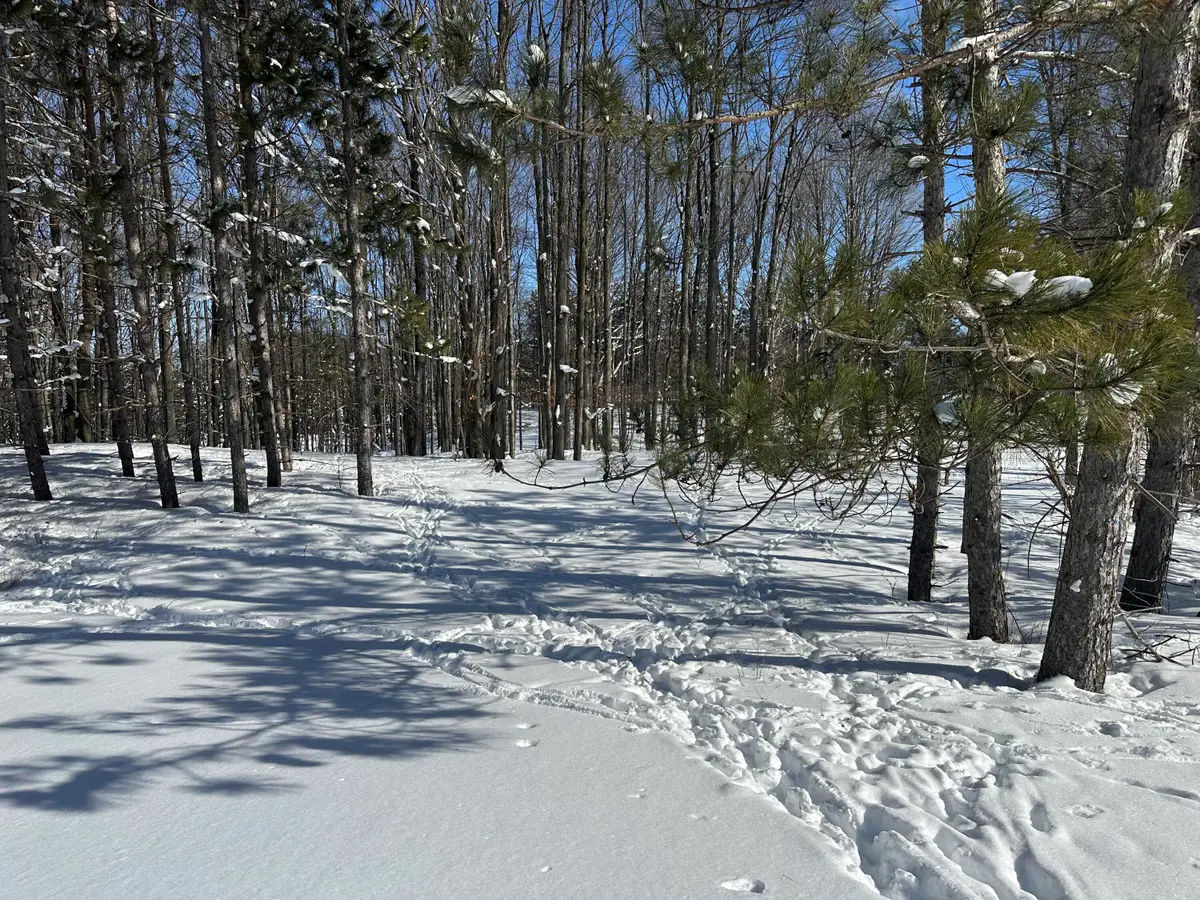 00 E 24 Road, Cadillac, MI 49601 - Image #1