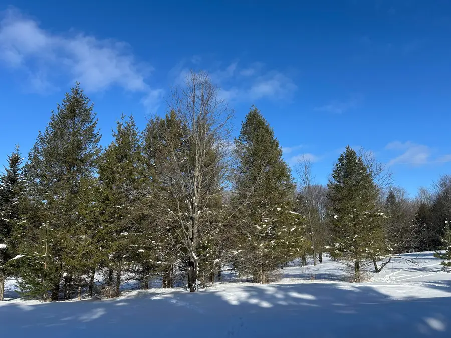 00 E 24 Road, Cadillac, MI 49601 - Image #2