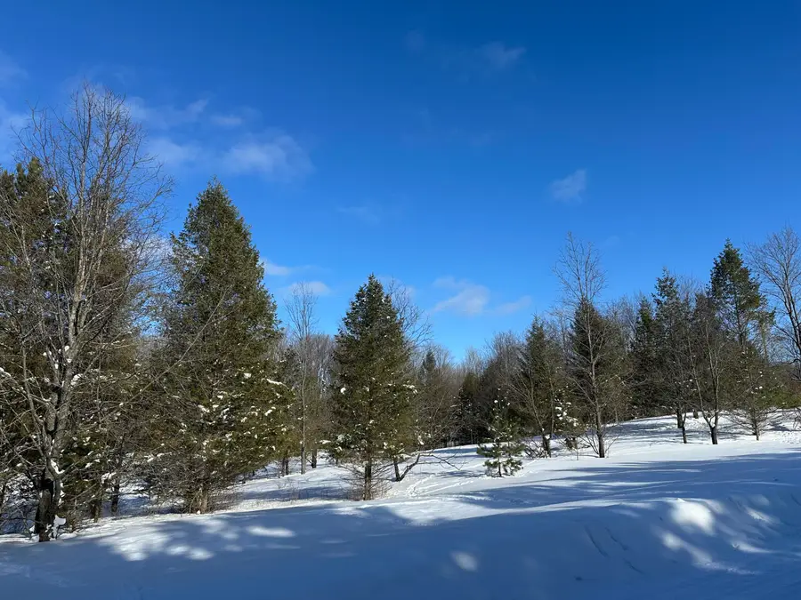 00 E 24 Road, Cadillac, MI 49601 - Image #3