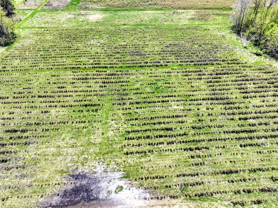 VL Benny Ct (private) #Parcel 4, Grand Junction, MI 49056 - Image #2