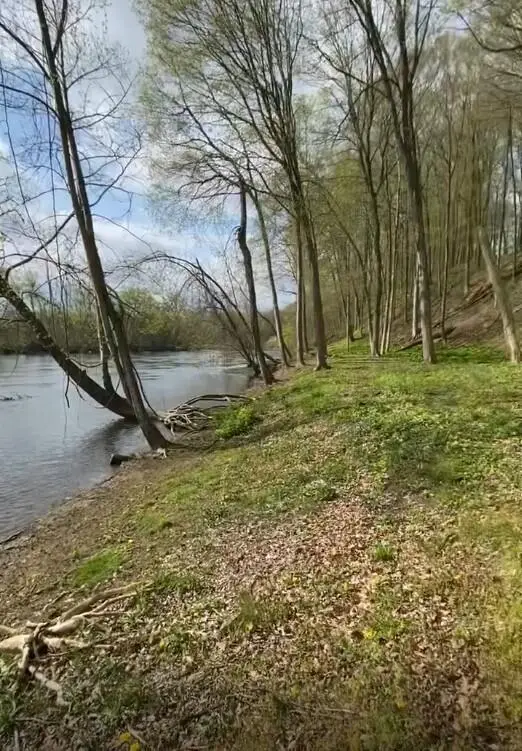 2348 Spring Arbor, Saint Joseph, MI 49085 - Image #3