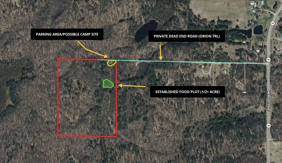 9194 Orion Trail, White Cloud, MI 49349 - Image #2