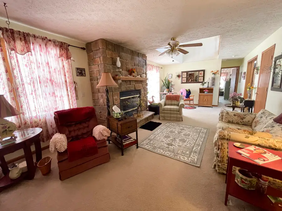 13631 Bemis Road, Manchester, MI 48158 - #3