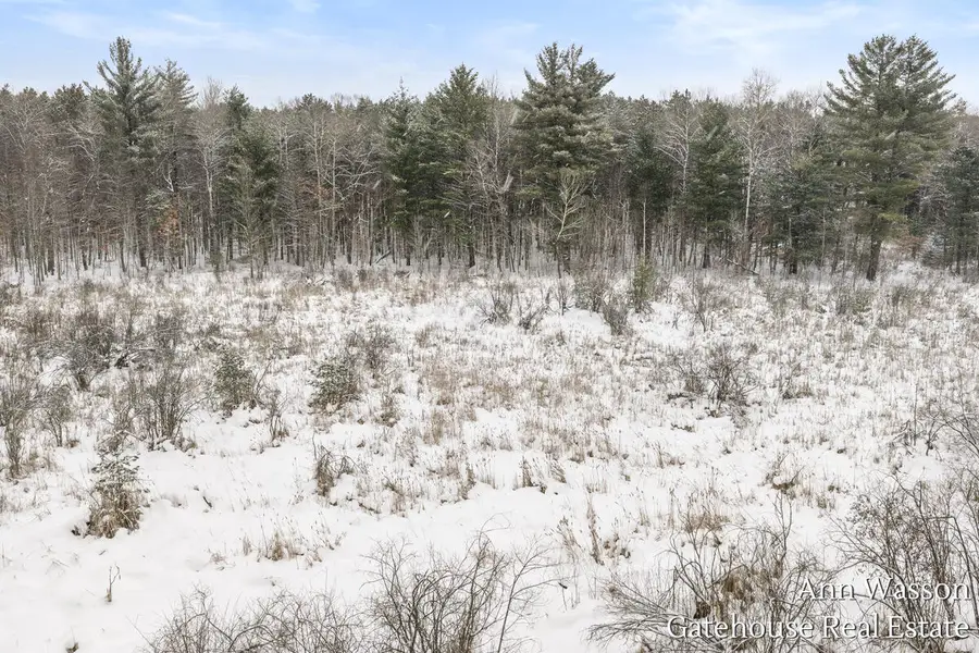 TBD 8 Mile, Stanwood, MI 49346 - Image #2