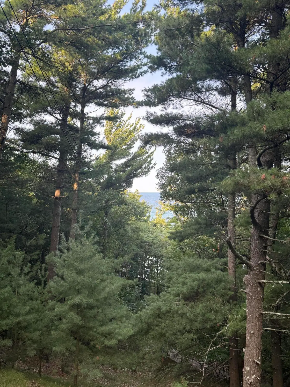 Lot G Hemlock Trail, Shelby, MI 49455 - Image #1