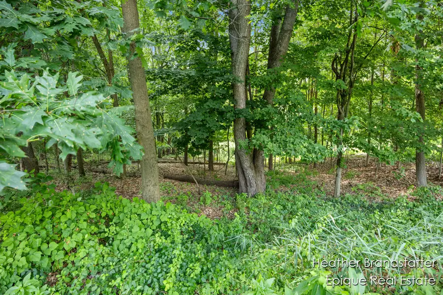 7670 Wood Violet Court Se, Ada, MI 49301 - Image #3