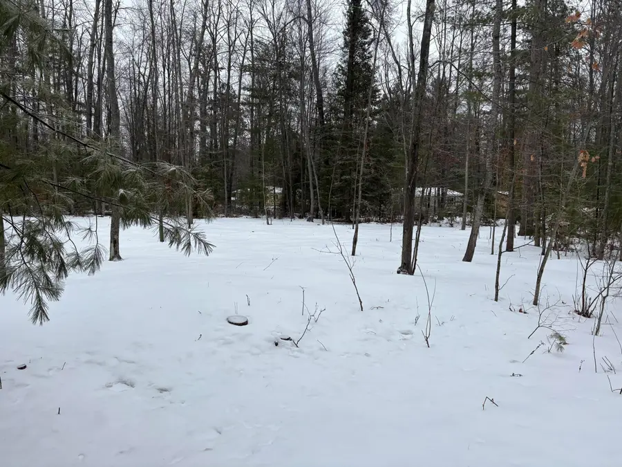 River Road #9, Atlanta, MI 49709 - #2