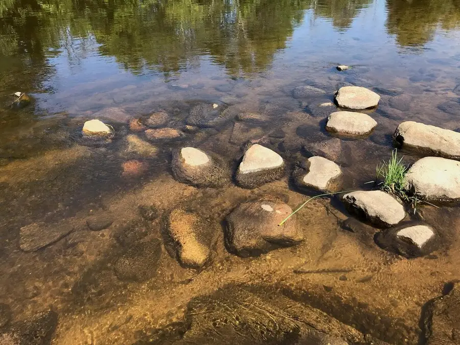 Lots 10&11 S Riverview Drive, Hesperia, MI 49421 - Image #3