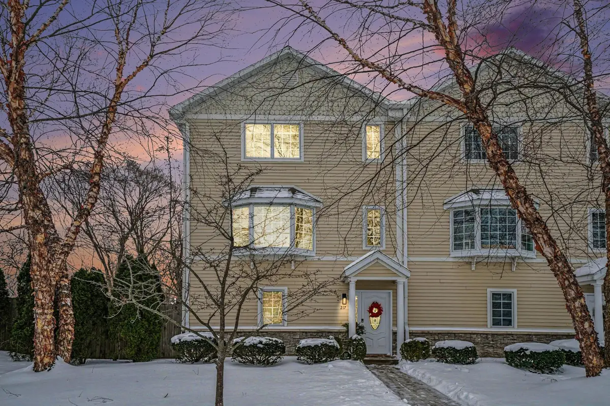 217 W Merchant Street, New Buffalo, MI 49117 - Image #1