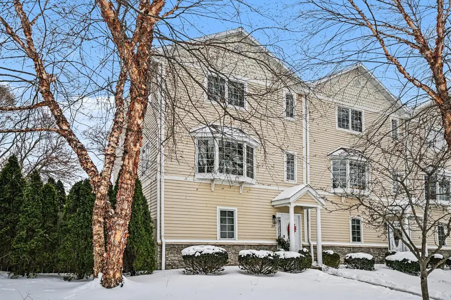 217 W Merchant Street, New Buffalo, MI 49117 - Image #2