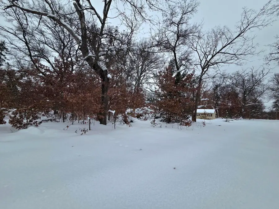 2660 W Mead Street, Baldwin, MI 49304 - Image #3