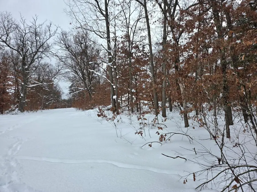 V/L W Mead Street, Baldwin, MI 49304 - Image #2