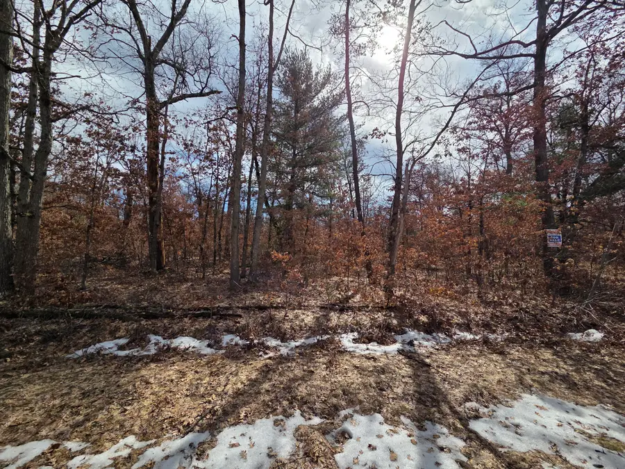 V/L W Mead Street, Baldwin, MI 49304 - #3