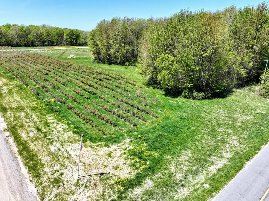 59070 Benny Ct #Parcel 6, Grand Junction, MI 49056 - Image #2