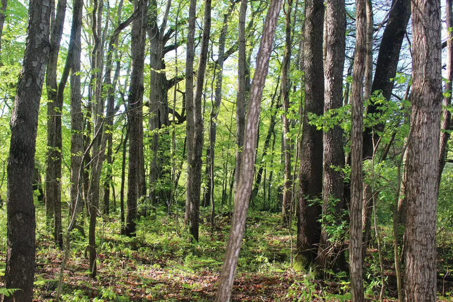 4273 104th Avenue, Allegan, MI 49010 - Image #3