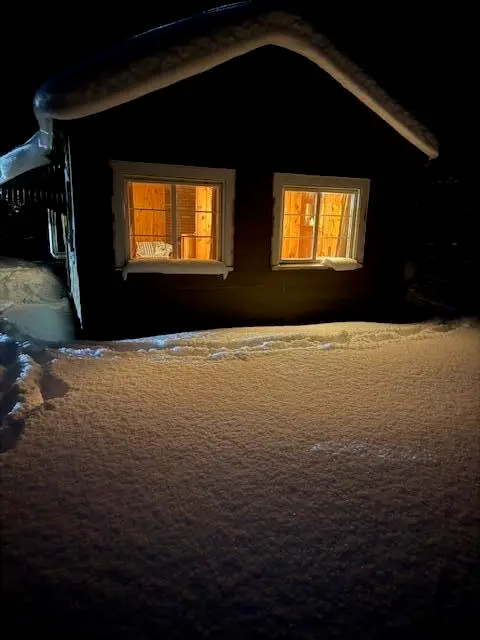 5286 N Twin Creek Road, Luther, MI 49656