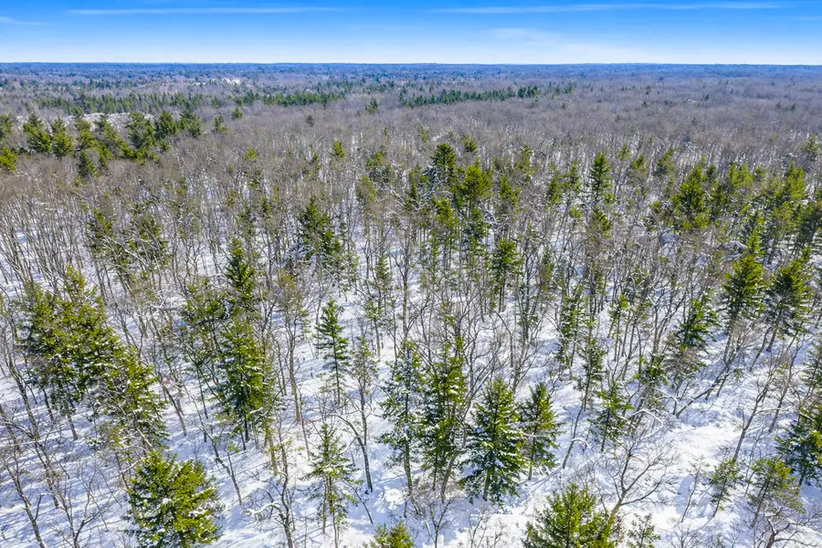 VL Poppy Way Road, Twin Lake, MI 49457 - Image #2