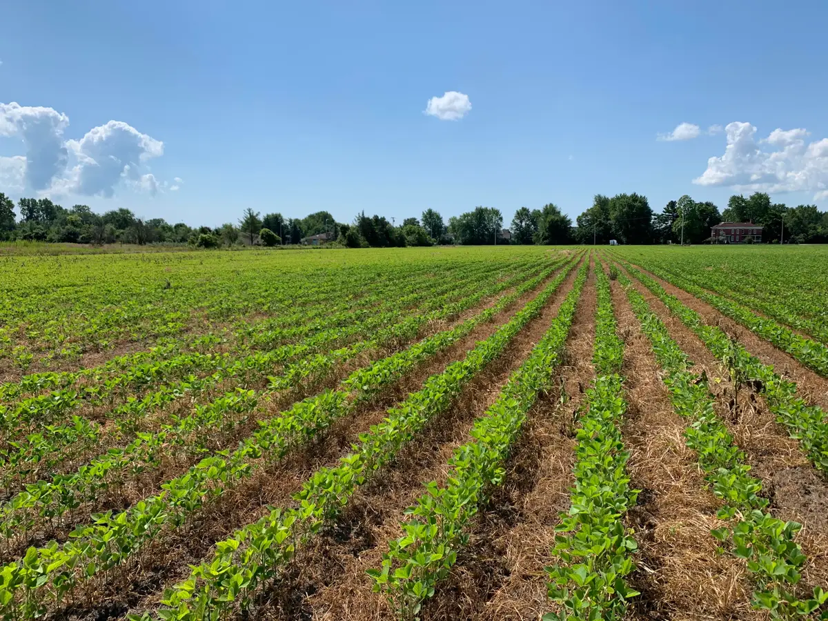 00 Gibraltar Road, Flat Rock, MI 48134 - #1