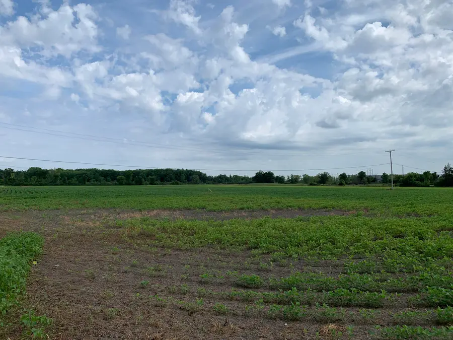 00 Gibraltar Road, Flat Rock, MI 48134 - #2