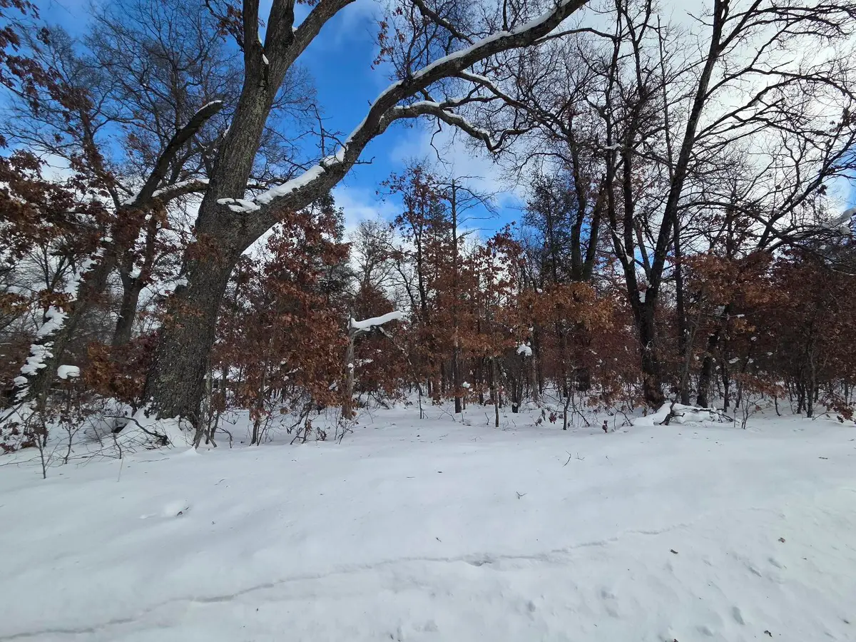 V/L S Harvard Ave., Baldwin, MI 49304 - Image #1