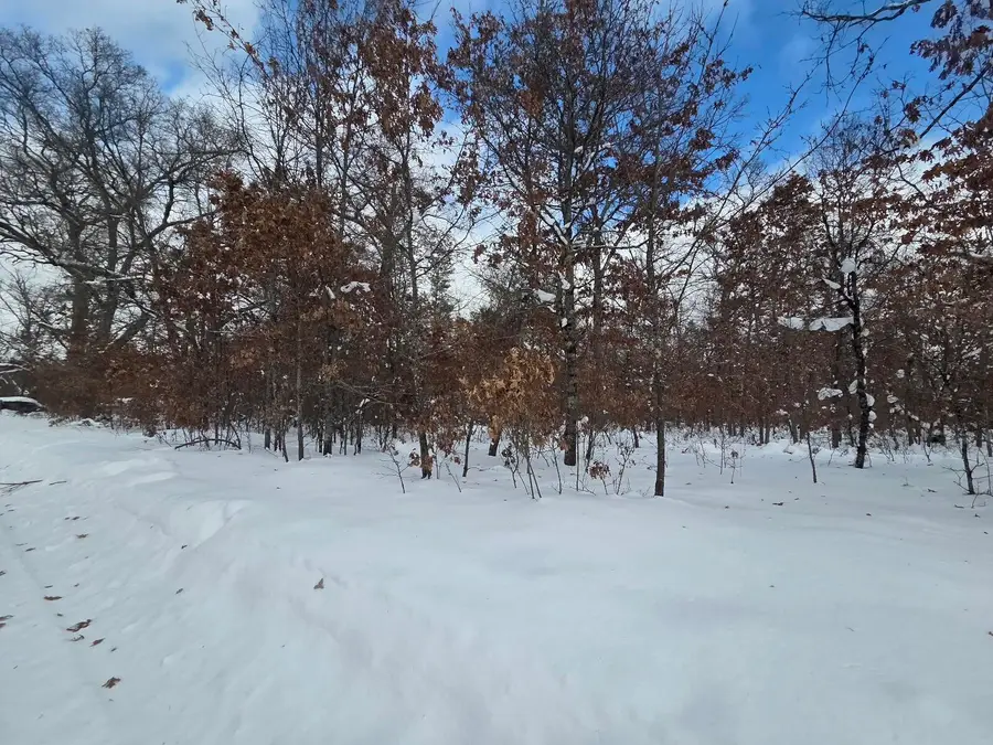 V/L S Harvard Ave., Baldwin, MI 49304 - Image #3