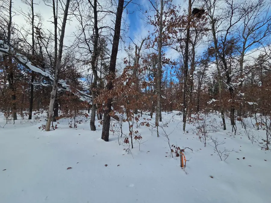 V/L S Astor Rd., Baldwin, MI 49304 - Image #2