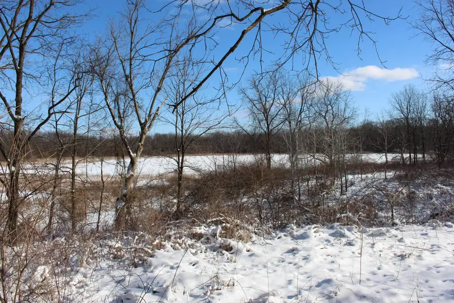 9571 N Waldron Road, Jerome, MI 49249 - Image #2