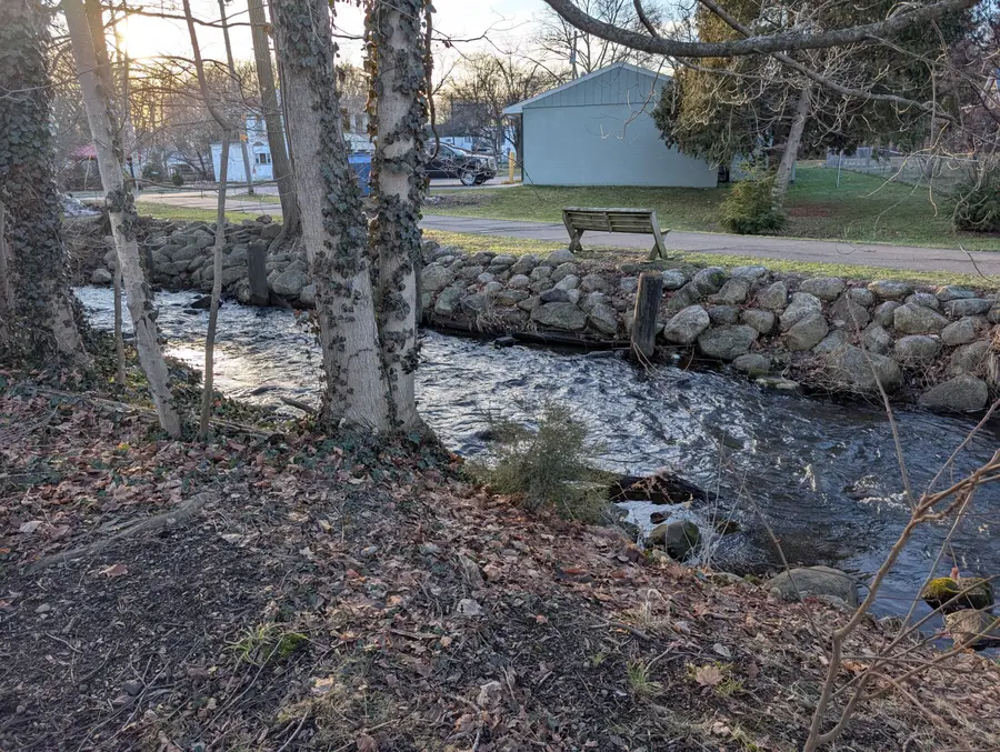 107 E Chicago Street, Buchanan, MI 49107 - Image #2