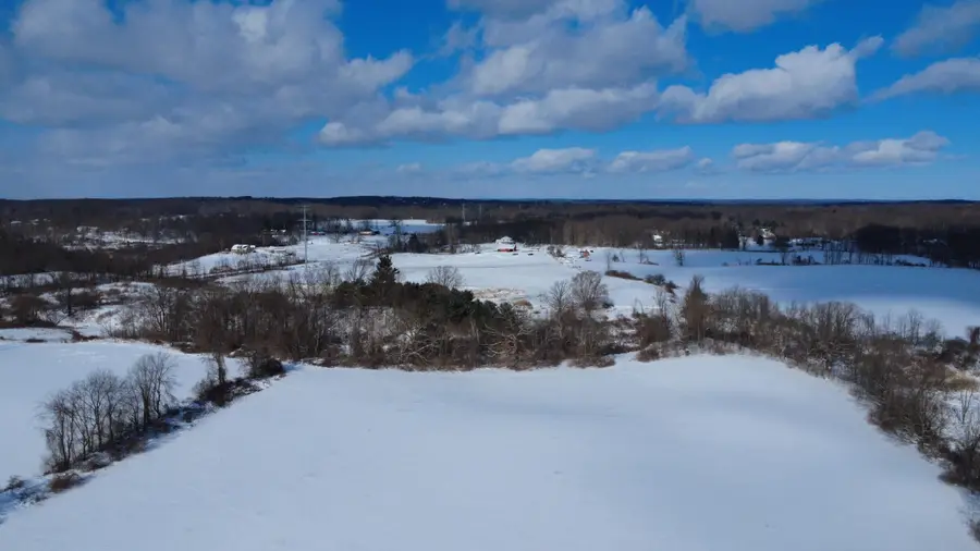 TBD Bordman Road #TBD, Leonard, MI 48367 - Image #3