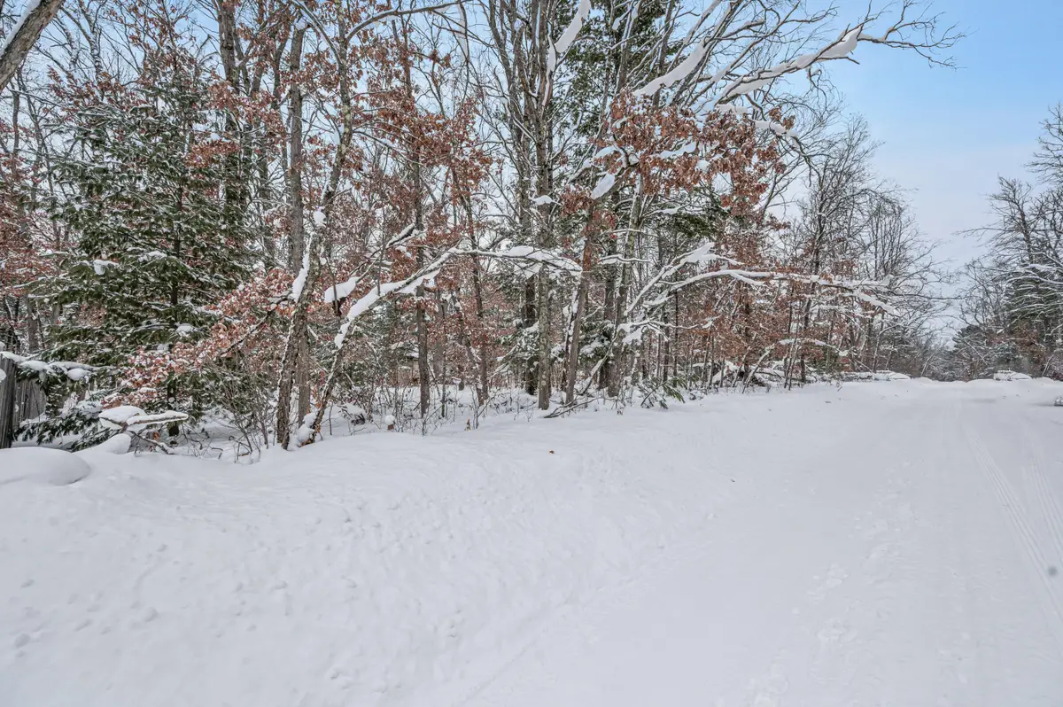 V/L Bagnall Blvd, Baldwin, MI 49304 - Image #1