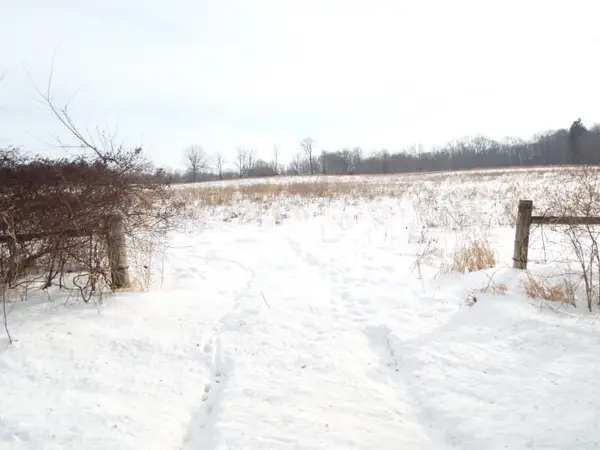 B Peacock Road, Leslie, MI 49251