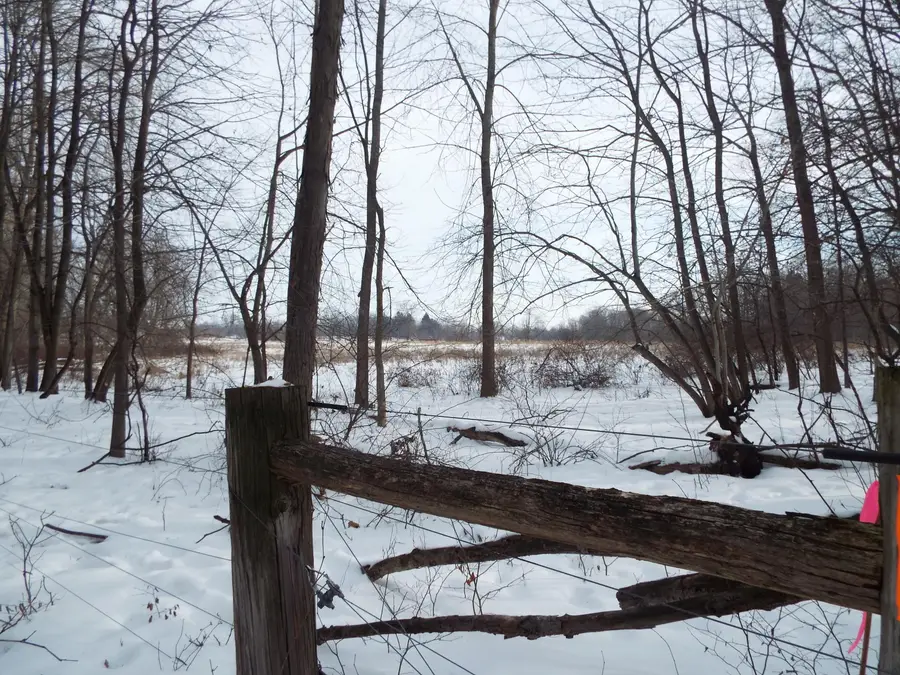 B Peacock Road, Leslie, MI 49251 - Image #3