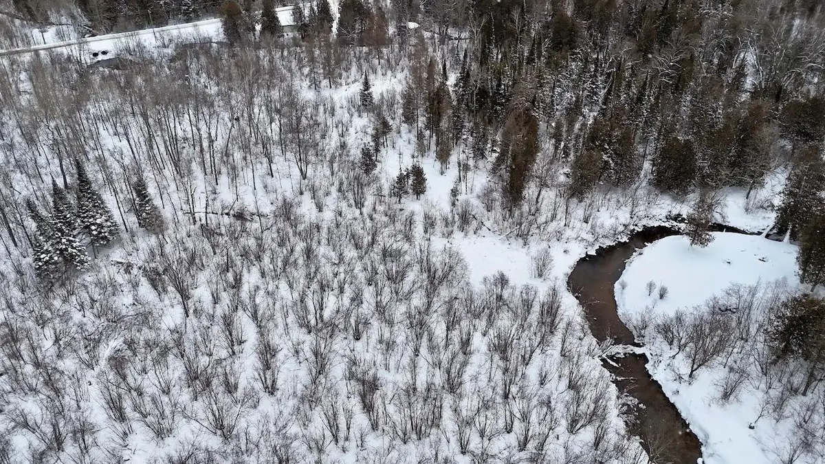 22361 9 Mile Road, Reed City, MI 49677 - Image #1