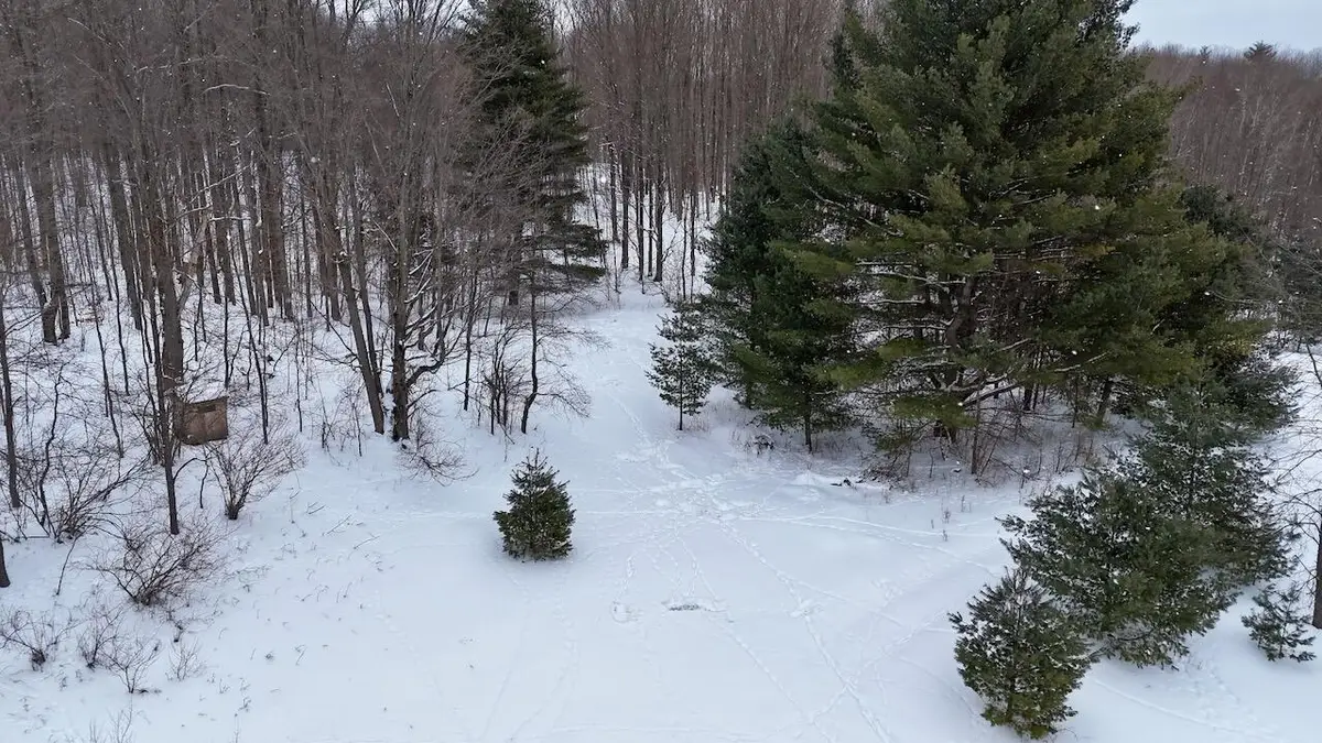 V/L 17 Mile Rd, Leroy, MI 49655 - Image #1