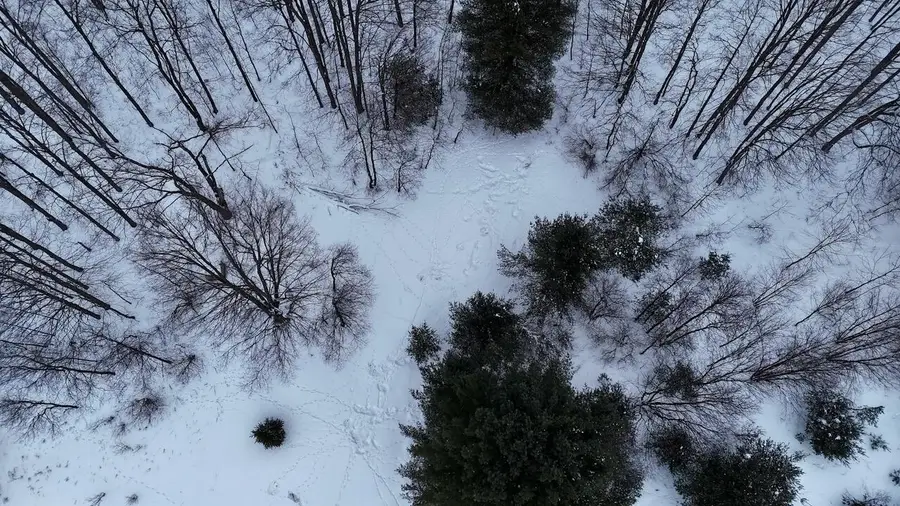 V/L 17 Mile Rd, Leroy, MI 49655 - Image #2