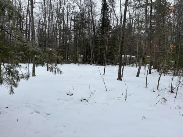 River Drive, Atlanta, MI 49709