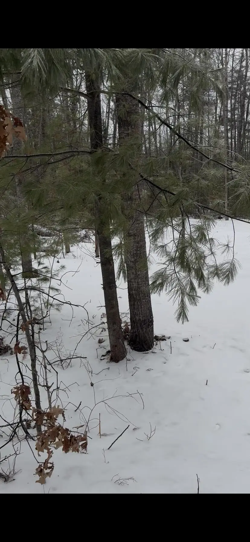 River Drive, Atlanta, MI 49709 - #2