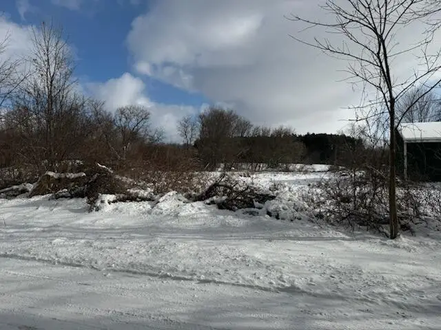 7628 N Marble Road, Howard City, MI 49329 - #1